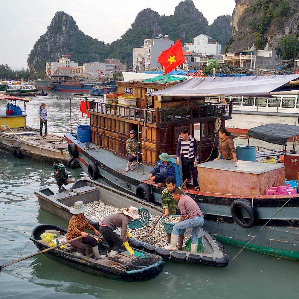 The bustling atmosphere at Quan Lan Market
